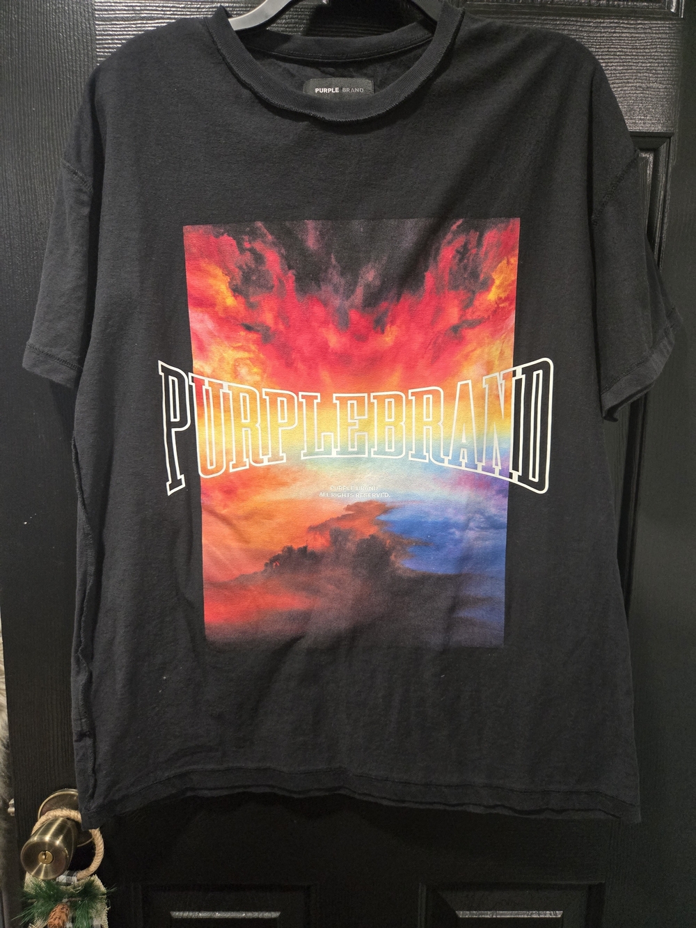 Purplebrand Mens Short Sleeve Tee in Black with Sunset Print